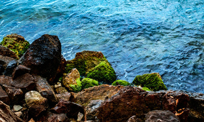 stones with moss at the seaside