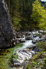 Obraz premium torrential mountain stream of Austria