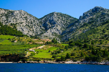Fototapeta na wymiar Cultivated slopes on the island of Brac in Croatia in the Adriatic Sea - Green fields surrounded by rugged peaks seen from a boat