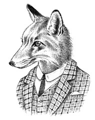 Fototapeta Fox dressed up in Suit. Aristocrat or old gentleman. Fashion Animal character in office style. Hand drawn Anthropomorphism sketch. Vector engraved illustration for label, logo and T-shirts or tattoo. obraz