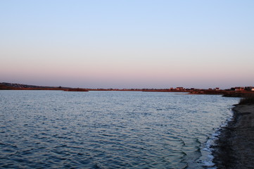 Obraz premium flowers macro sky sunset dogs husky and dachshund sea beach sun lake city field pitfall duck