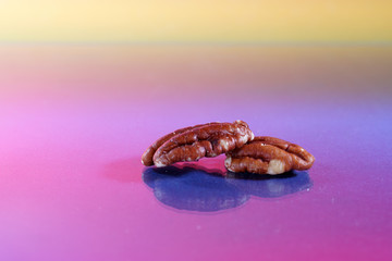 Pecan photographed in the studio