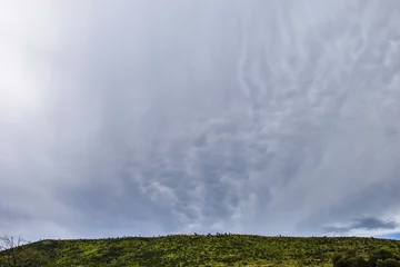 Fotobehang Cloudy skies over lush landscape, Pilanesberg National Park, South Africa © Danielle