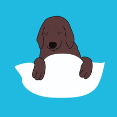 Labrador dog in a bed - 343586985
