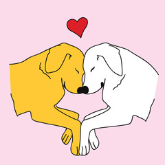 Retriever dogs lovely couple - 343587170