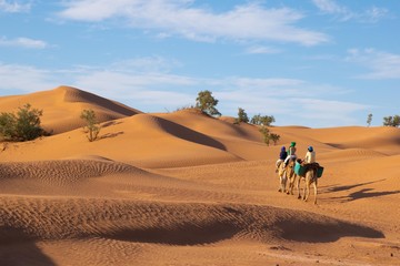 Fototapeta na wymiar Camel Ride to Timbuktu through the Sahara Desert Dunes