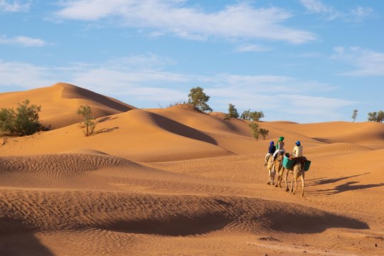 Camel Ride to Timbuktu through the Sahara Desert Dunes