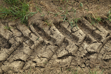 Traces of the tread of a vehicle in a dirty field road
