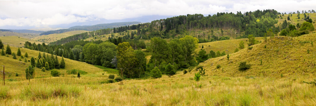 Vista panoramica de bosques y cerros Cordoba, en Argentina