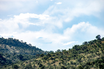 Fototapeta na wymiar Cloudy skies over lush landscape, Pilanesberg National Park, South Africa