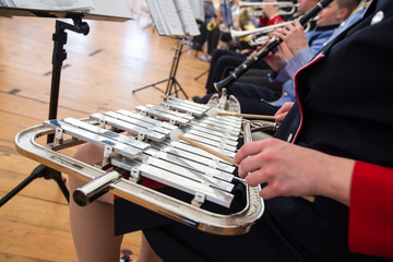 Member of the orchestra playing sounds on a dulcimer