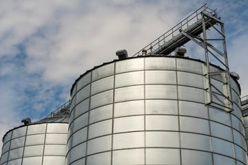 silver silos on agro manufacturing plant for processing drying cleaning and storage of agricultural products, flour, cereals and grain. Large iron barrels of grain. Granary elevator