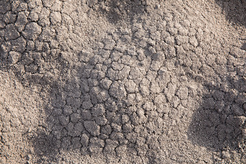 Dry fractured soil of drought