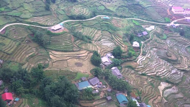 Rice fields, Sapa, Vietnam, after the harvest