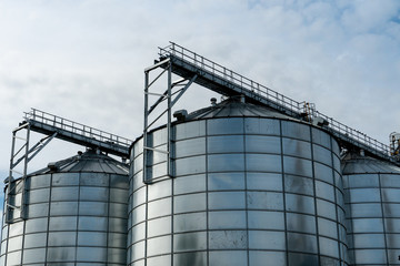 silver silos on agro manufacturing plant for processing drying cleaning and storage of agricultural products, flour, cereals and grain. Large iron barrels of grain. Granary elevator