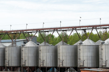 silver silos on agro manufacturing plant for processing drying cleaning and storage of agricultural products, flour, cereals and grain. Large iron barrels of grain. Granary elevator