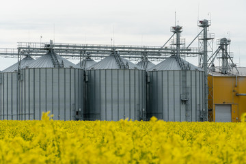 Fototapeta na wymiar silver silos on agro manufacturing plant for processing drying cleaning and storage of agricultural products. Large iron barrels of grain. modern plant against the background of a large rape field