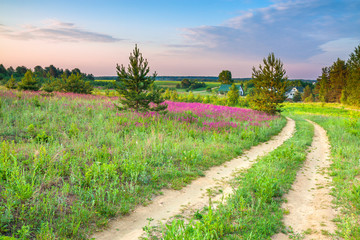 spring amazing landscape with a blossoming meadow, road and farm