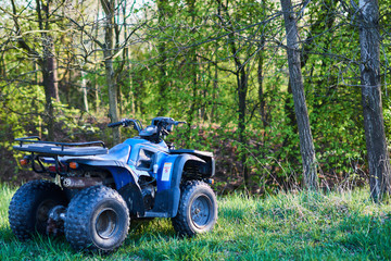 You can also admire nature from behind the wheel
