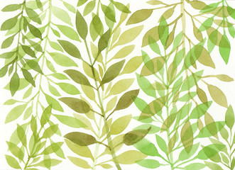 Decorative pattern watercolor green leaves and branch. Botanical print for design cards, invitations, wallpaper, wrapping paper. Hand drawn illustration on a white background.