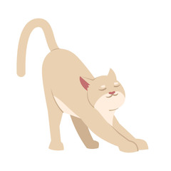 Cute stretching cat semi flat RGB color vector illustration