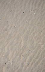 footsteps on the sand