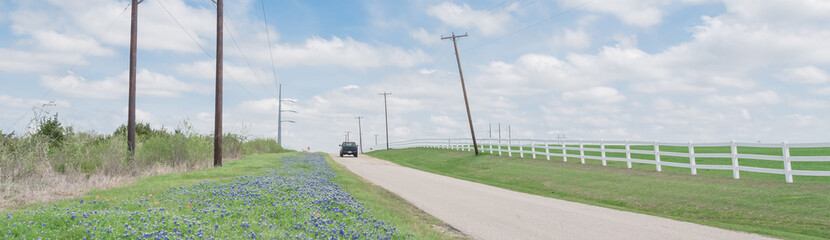 Panoramic view blooming bluebonnet along country road with white picket fence and row of power pylons in Ennis, Texas, USA - Powered by Adobe