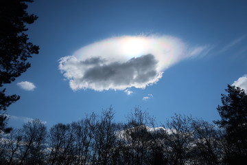 A beautiful cloud highlighted by the sun
