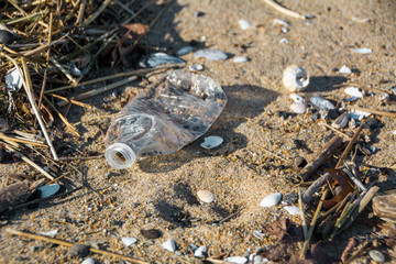 Trash Washed up on a Beach
