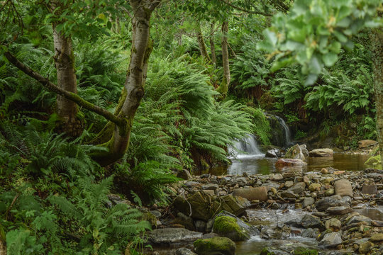 green paradise with a little waterfall
