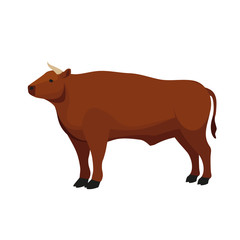 Farm Animals Bull Vector Illustration