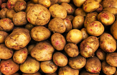 White Potatoes Background