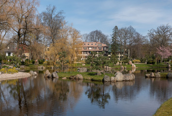 Fototapeta premium pond in the park spring time