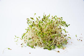 Brocoli sprouts on a spoon isolated on white background