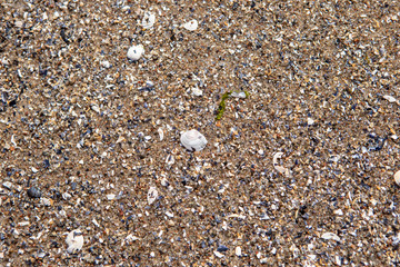 pebbles on the beach