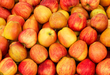 Red fresh ripe apples close up in the supermarket. Fruits harvest
