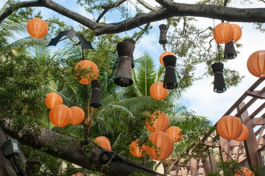 Lanterns hung in a monkey pod tree in downtown waikiki