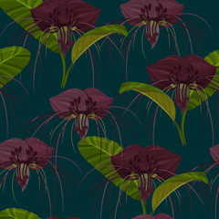 Dark purple Tacca flowers background. Tropical exotic plant seamless pattern.