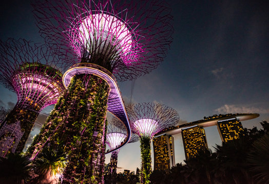 Supertrees At Gardens By The Bay, Singapore