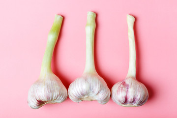  Young garlic on a pink background. Vitamins for health. 