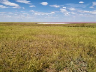 Dry yellow grass and blue sky with white clouds in rhe steppe of Kazakhstan.