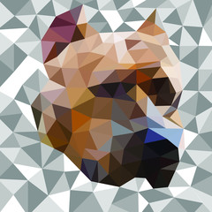 polygonal stylized pit bull portrait