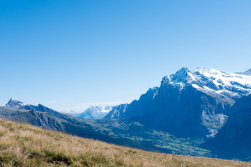 Fototapeta na wymiar Grindelwald, a village in Switzerland’s Bernese Alps, is a popular gateway for the Jungfrau Region