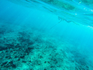 spearfisherman hunting his prey