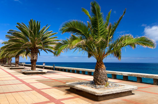 Atlantic coast landscape of Madeira Island, Portugal, Europe