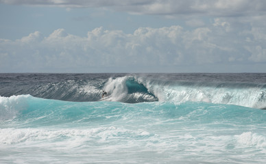 Hawaii
north shore
pipeline
 