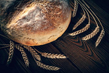 Homebaked bread. Loaf of round peasant bread and spikelets of wheat on a wooden background....