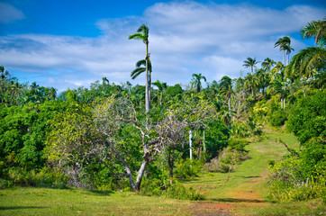 Humpboldt National Park in the heart of a tropical jungle, Cuba