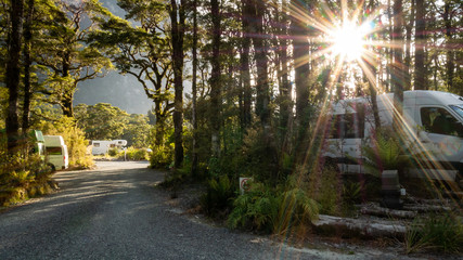 Sun star shot of campsite located in woods with camper vans, RVs and gravel path leading through frame. Photo taken in Milford Sound, Fiordland National Park, New Zealand - obrazy, fototapety, plakaty
