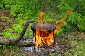 
cooking on a campfire in nature